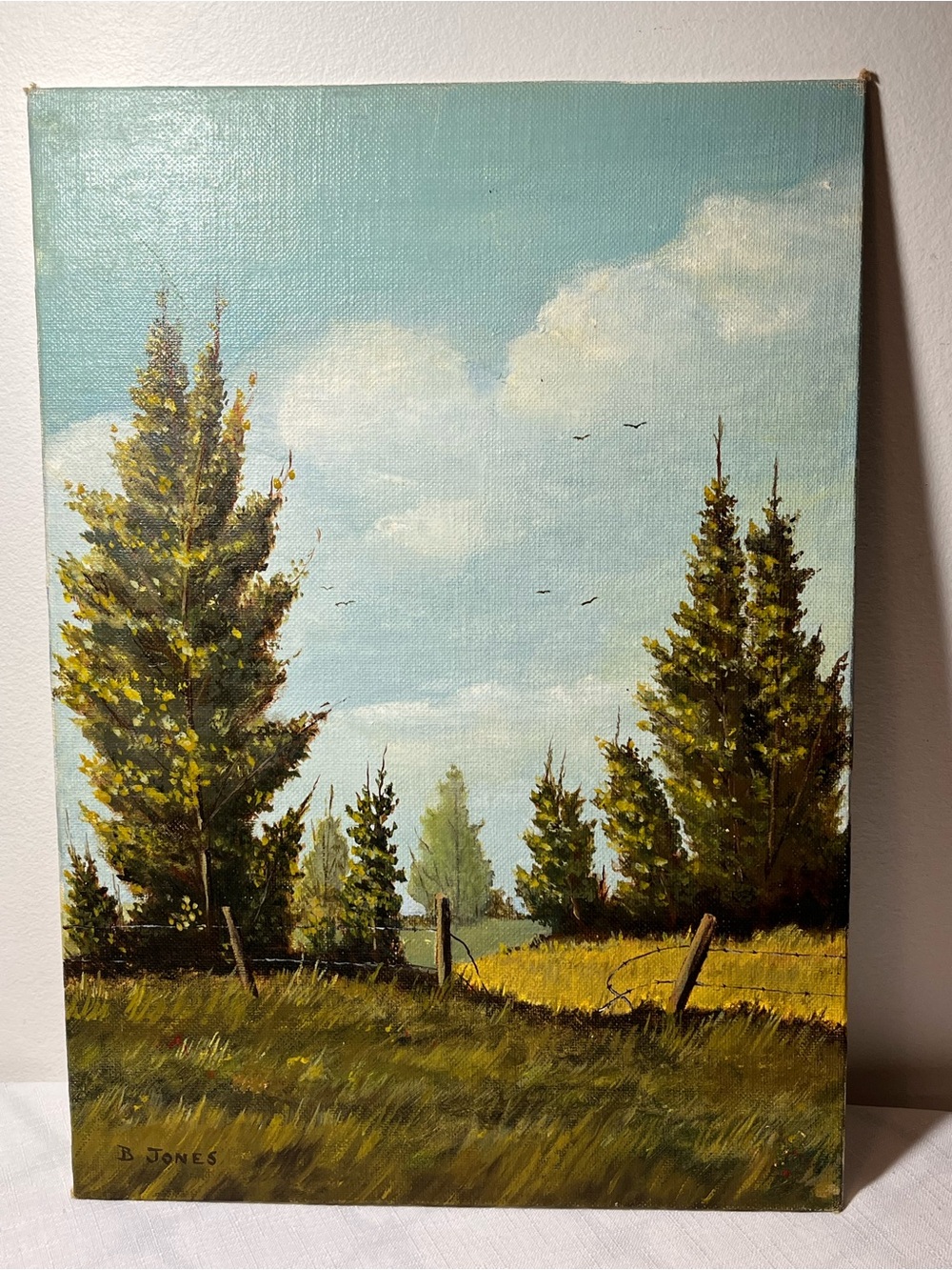 Original Oil Painting
Landscape Art
10 x 14”
B Jones artist